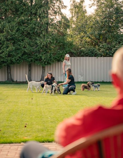Hundeschule Fellnasen und Ich